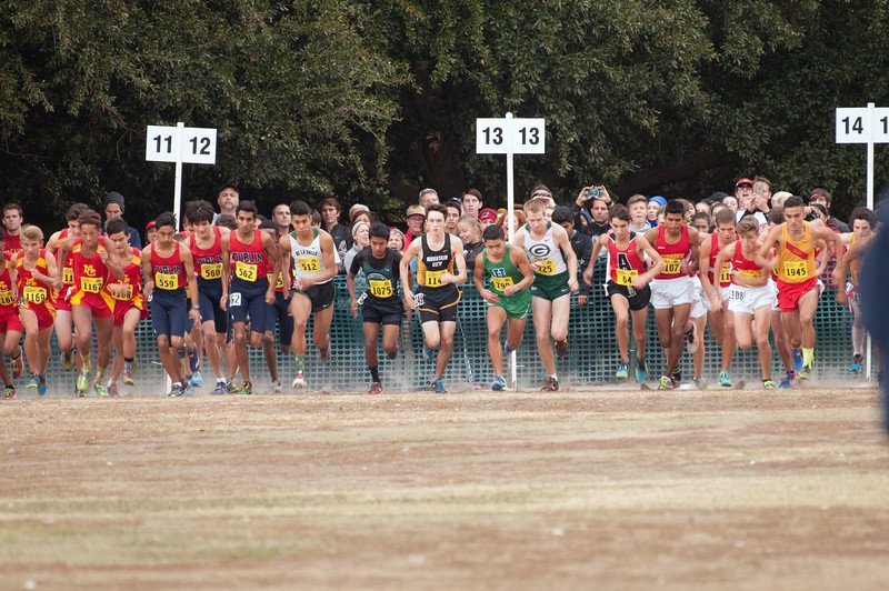 Cross+country+competes+in+state+championships