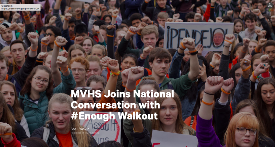 MVHS Joins National Conversation with #Enough Walkout
