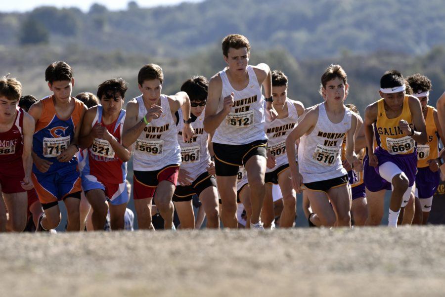 Boys+cross+country+heads+to+State+Championships+for+the+first+time+in+10+years