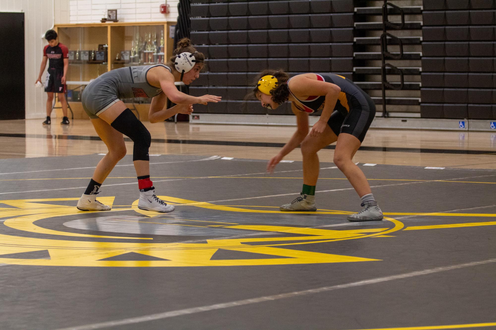 Photo story: Spartans celebrate senior wrestlers at final dual meet