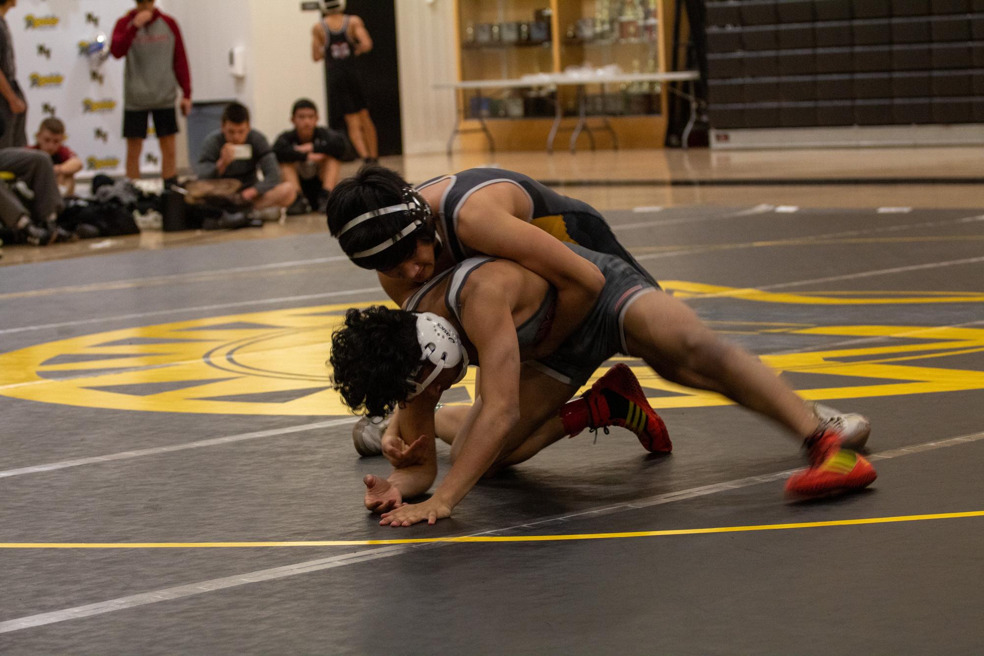 Photo story: Spartans celebrate senior wrestlers at final dual meet