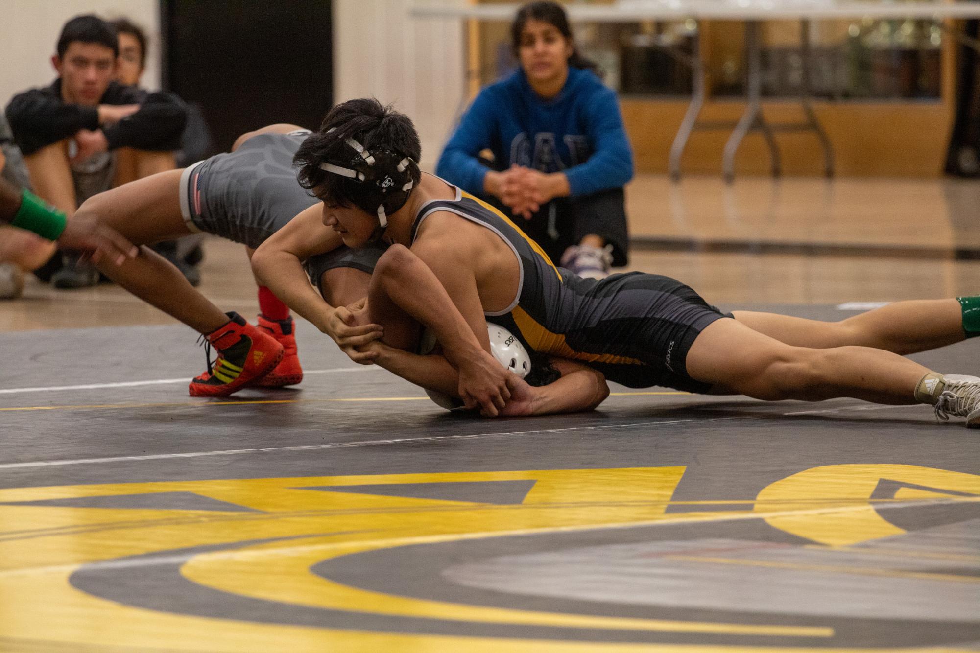 Photo story: Spartans celebrate senior wrestlers at final dual meet