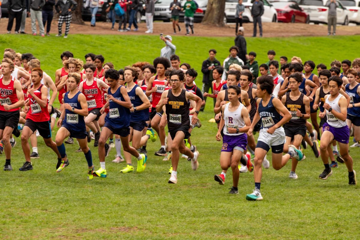 Sophomore boys begin race after starting gun.