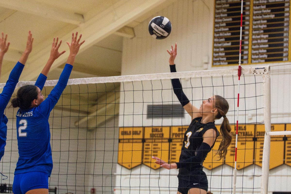 Photo Story: Girls volleyball loses 2-3 to Los Altos