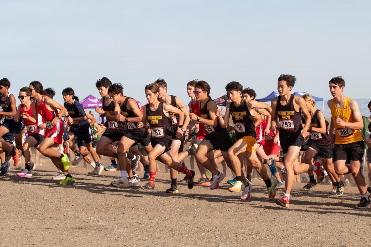 Cross country competes in SCVAL finals, qualifies for CCS Championships