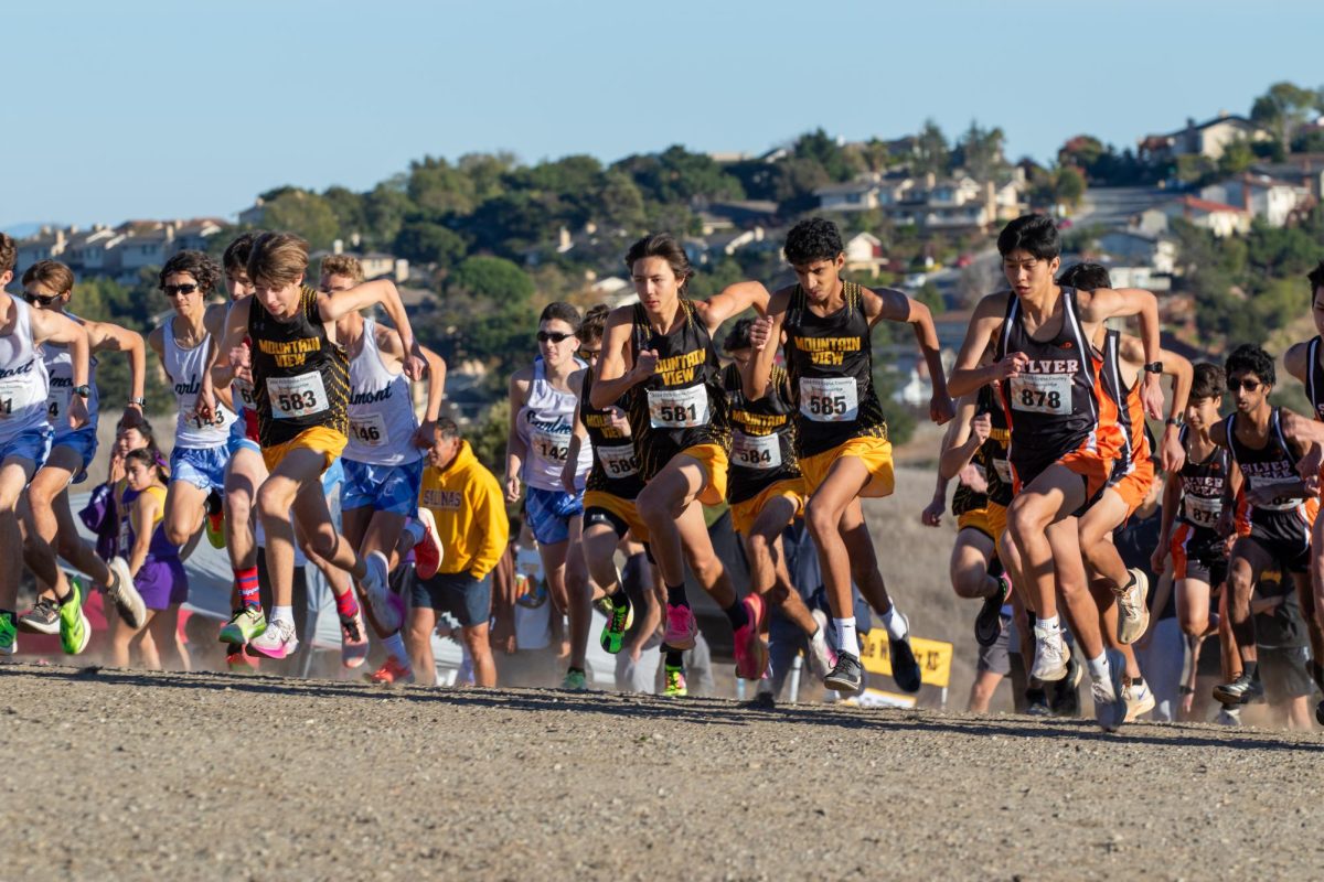 Cross country dominates CCS championships