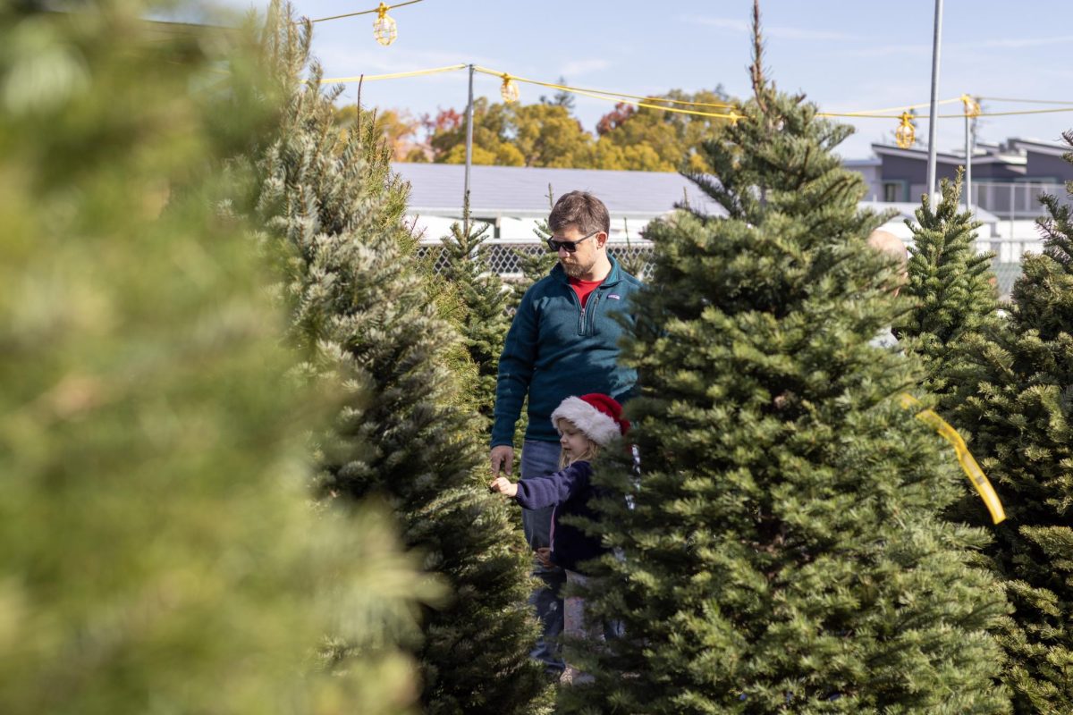 Annual MVHS Tree Lot brings community together while supporting sports and clubs