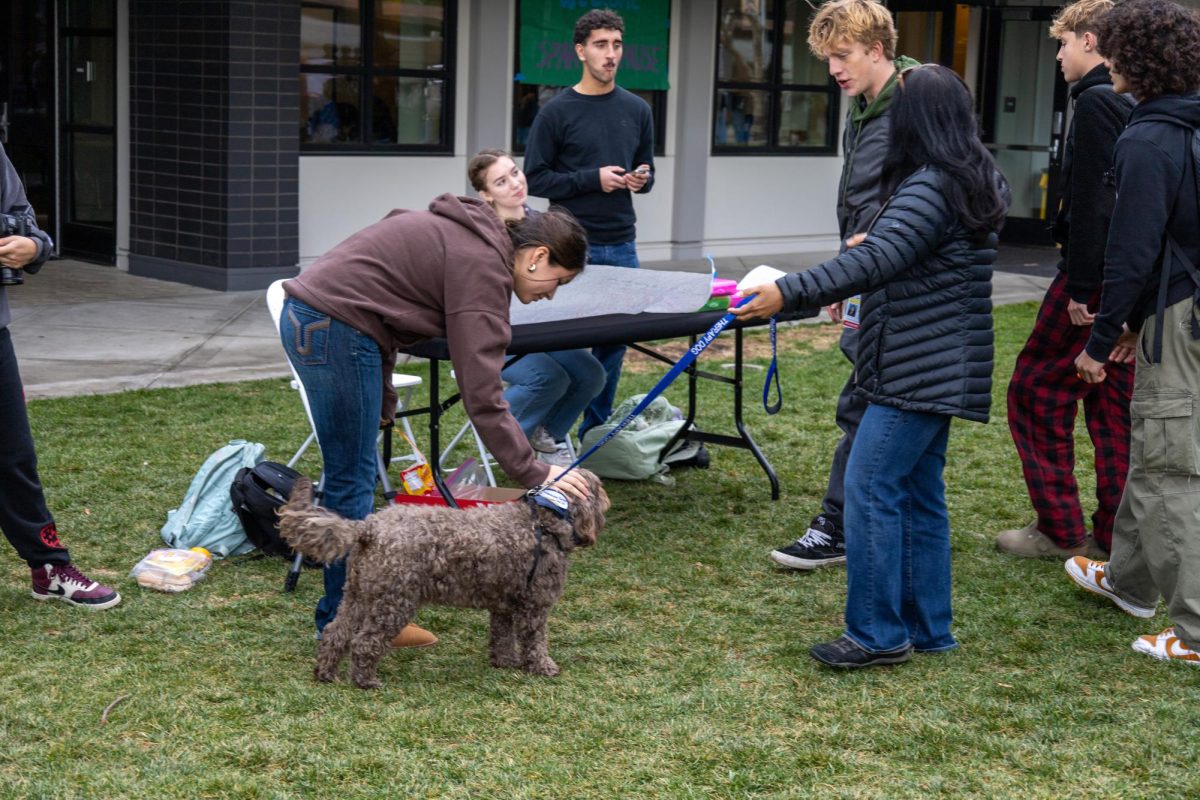 Photo story: ASB hosts Winter Wellness week with festive themes and activities