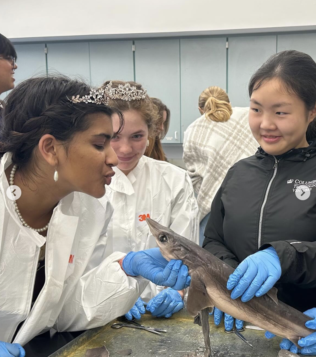 Exploring beneath the surface: MVHS Bio Club offers hands-on experiences to MVHS students