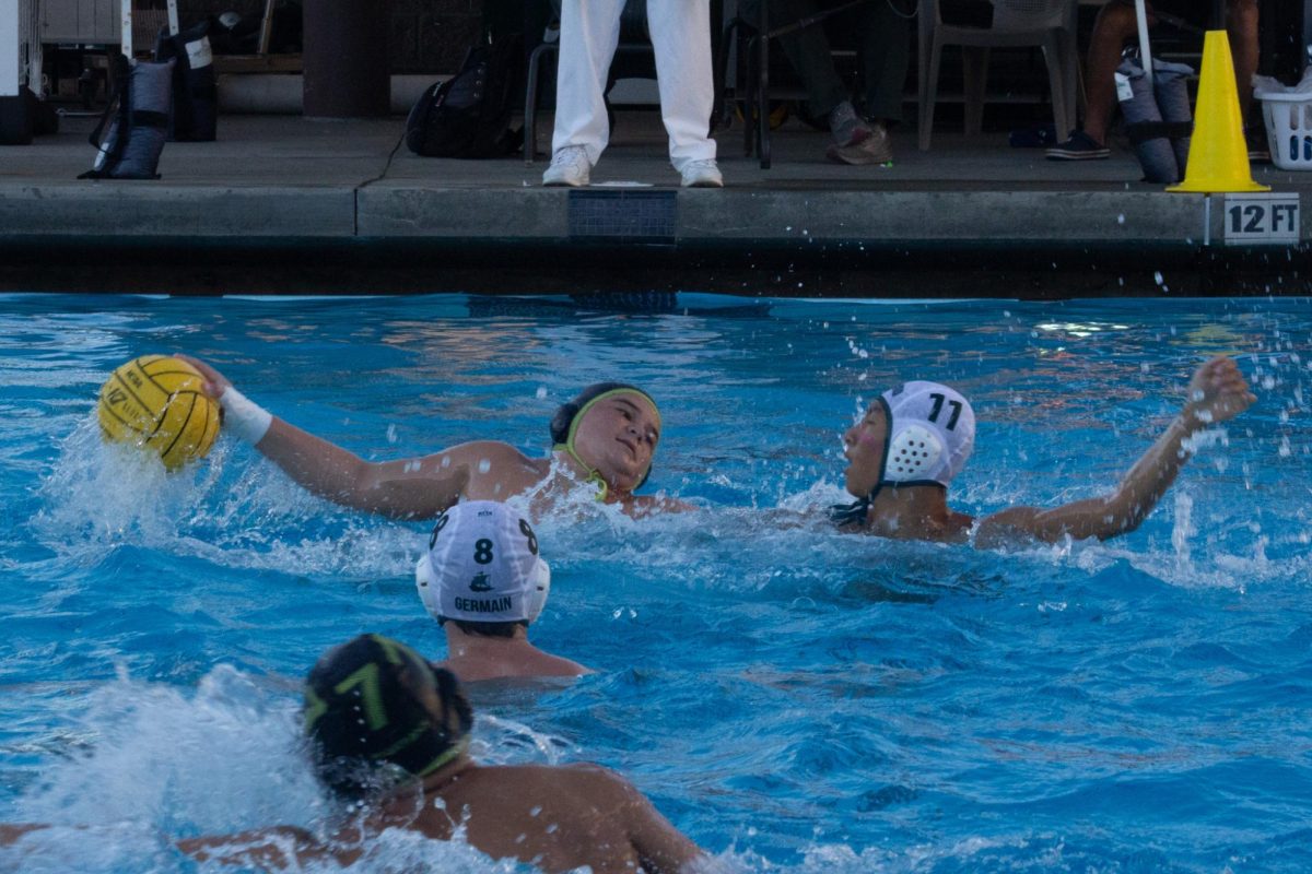 Boys water polo suffers 6-15 defeat to Palo Alto